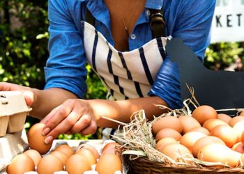 Yumurtada kırmızı alarm… Üretimi azaldı fiyatı ikiye katlandı