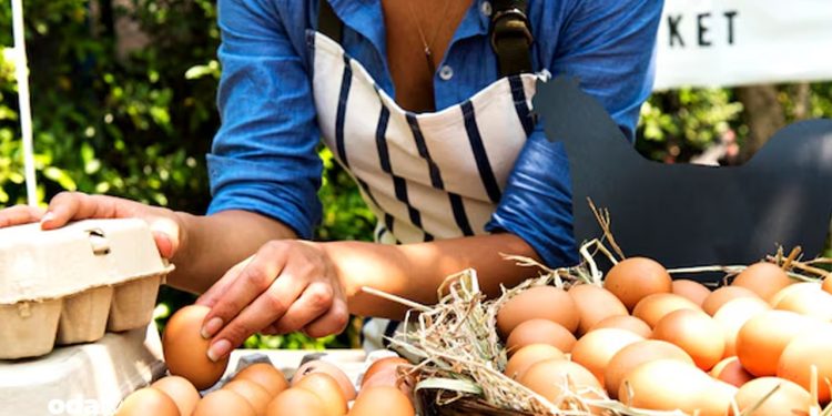 Yumurtada kırmızı alarm… Üretimi azaldı fiyatı ikiye katlandı