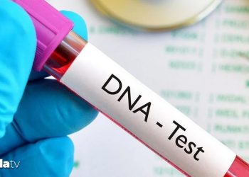 Eğlencesine DNA testi yaptırdı: Kocasıyla kardeş çıktı