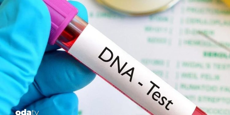Eğlencesine DNA testi yaptırdı: Kocasıyla kardeş çıktı