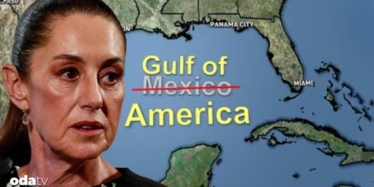 Meksika’dan Google’a dava