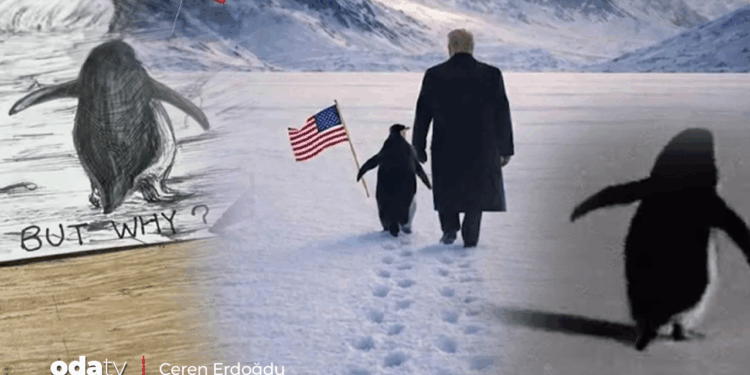 Toplumsal medya bunu konuşuyor: Nihilist penguen öyküsü